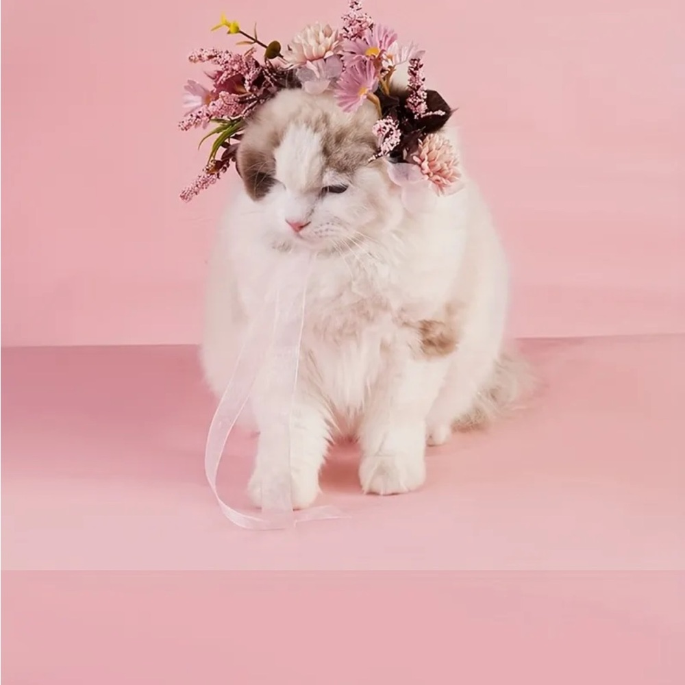 Small Pet Pink Floral Headband or Collar Photo Prop for Dog or Cat